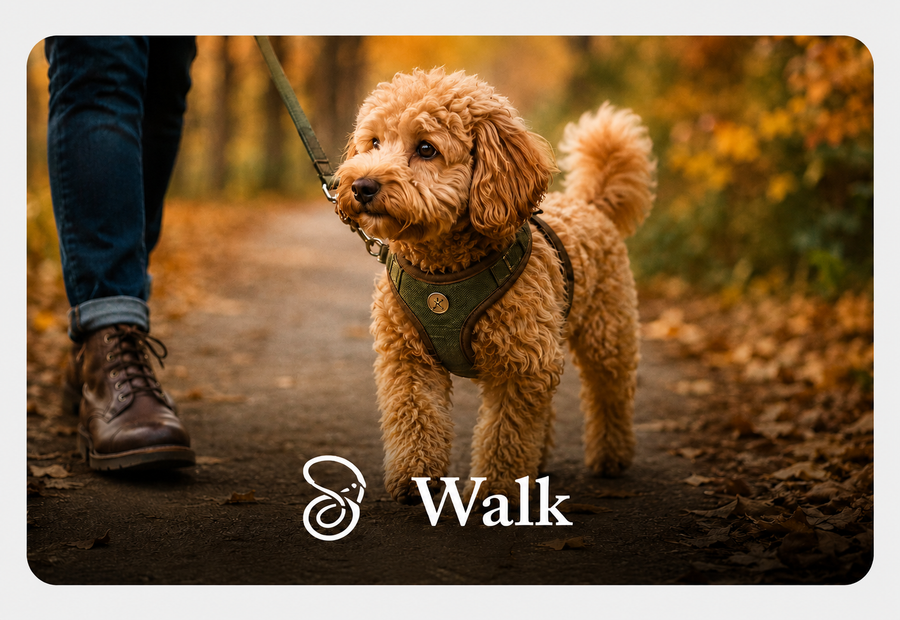 Walk