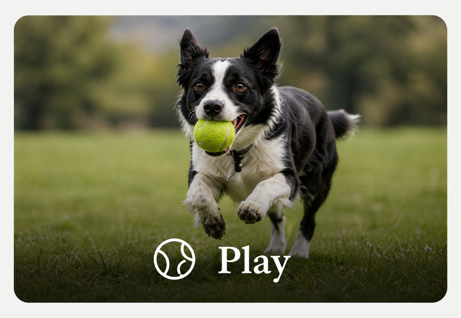 Play
