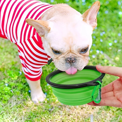 Collapsible Travel Dog Bowl
