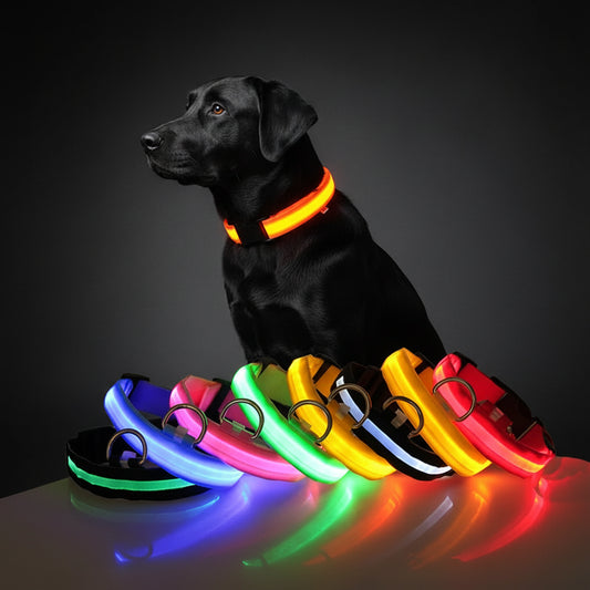 LED Night Safety Dog Collar