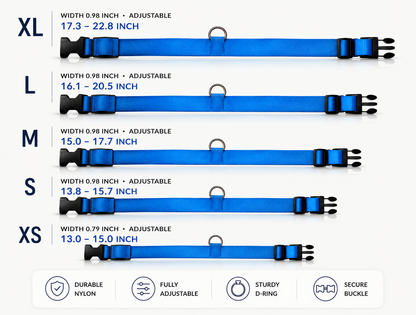 LED Night Safety Dog Collar premium size guide XS to XL