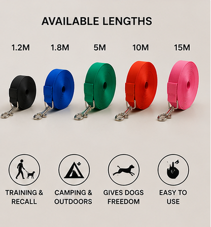 Long dog training lead length guide for recall training camping and outdoor use
